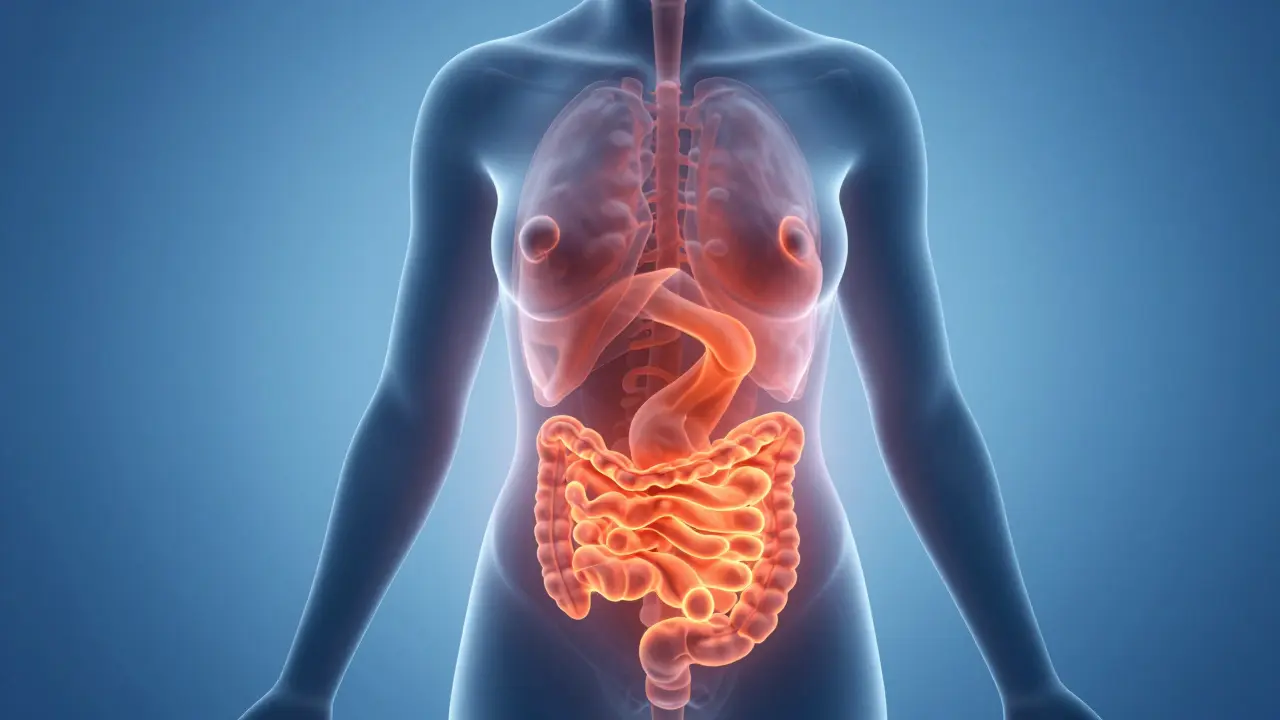 Konceptuální ilustrace hormonální nerovnováhy a stresu v oblasti břicha.