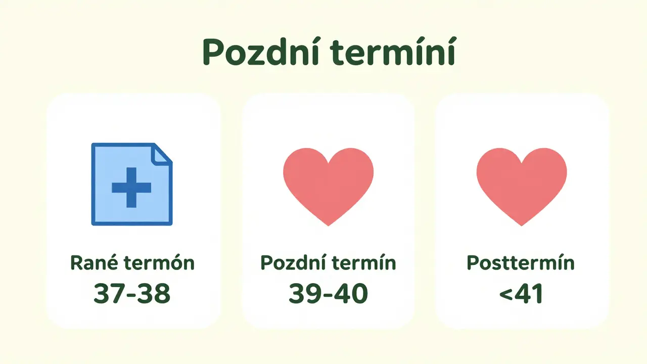 Přehledný diagram srovnávající rizika a lékařský postup pro jednotlivá stáří těhotenství, s důrazem na optimální a nejbezpečnější období mezi 39. a 40. týdnem.